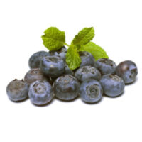 Blueberries HP TF