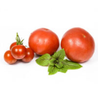 Tomatoes HP TF
